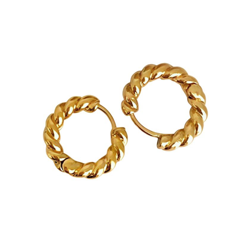 Hoops Earrings